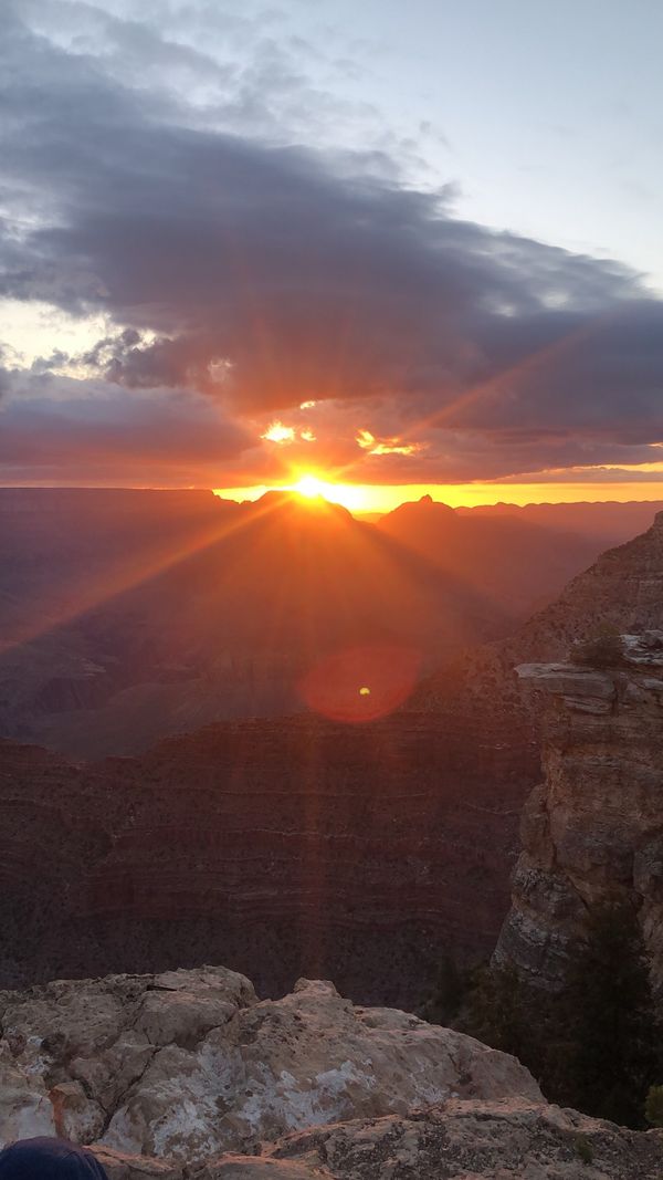 アメリカ(米国)・ロサンゼルス「アメリカ」の写真