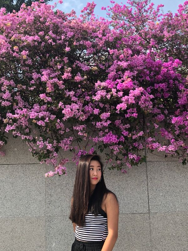 シンガポール・シンガポール「シンガポール」の写真