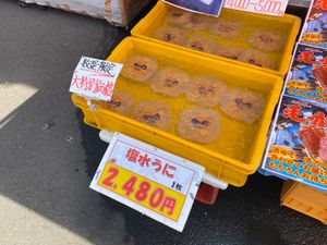 市場でカニとウニを買ってホテルで夜ご飯
カニは足がかけた物を安く購入！
お...