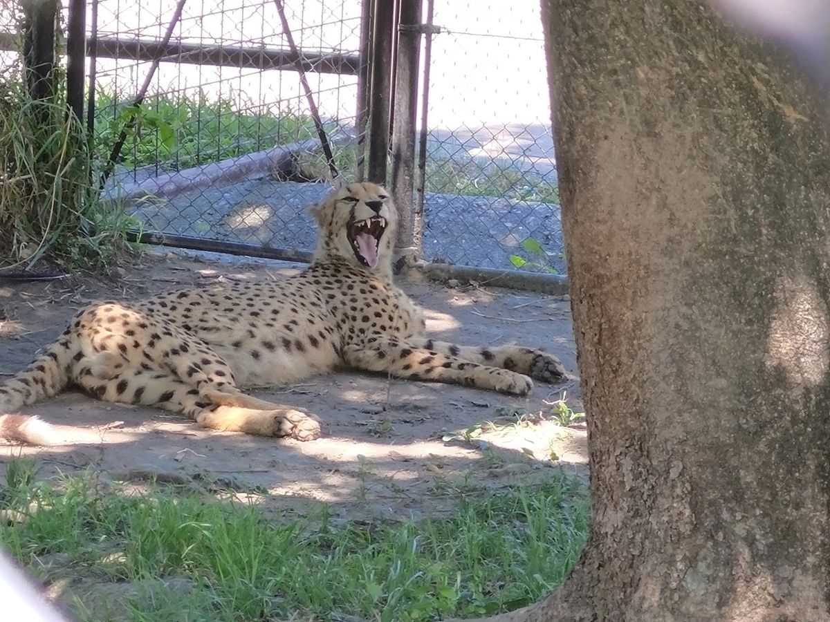 アドベンチャーワールド