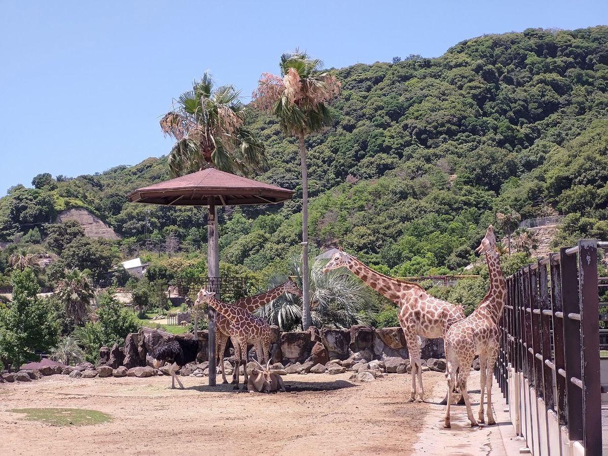 アドベンチャーワールド