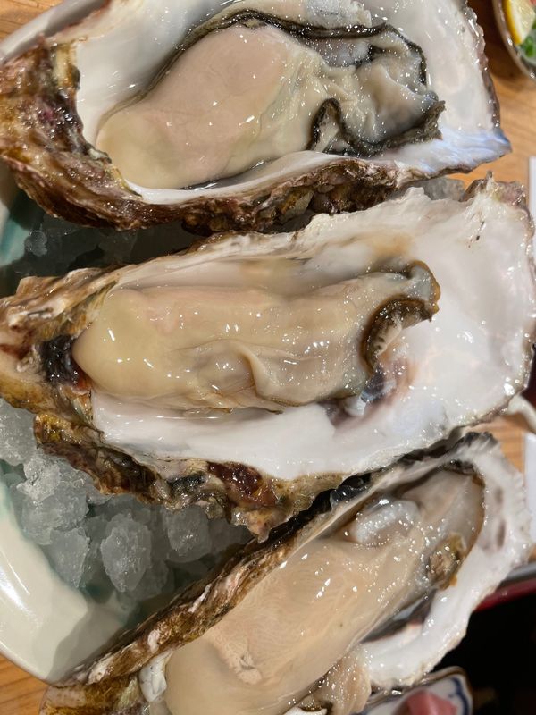 日本・宮古島「初の宮古島上陸」の写真