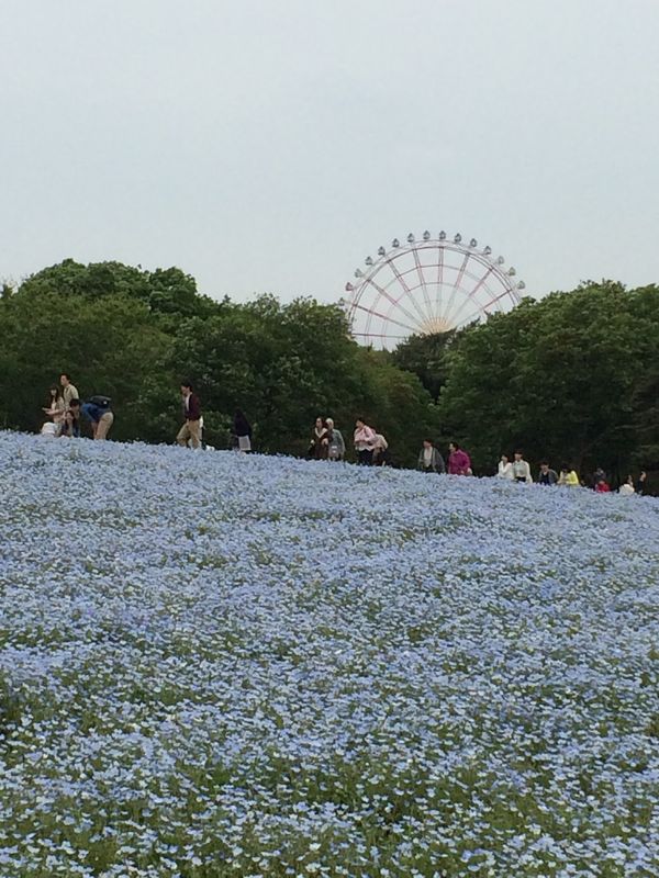 日本・茨城県「北関東旅行」の写真