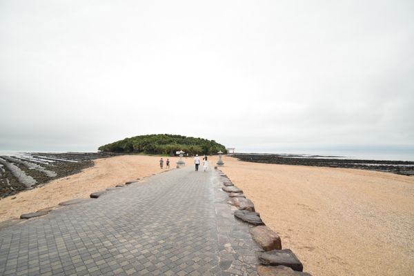 日本・鹿児島県「宮崎１人旅！ちょい鹿児島！」の写真：青島神宮！鬼の洗濯板！