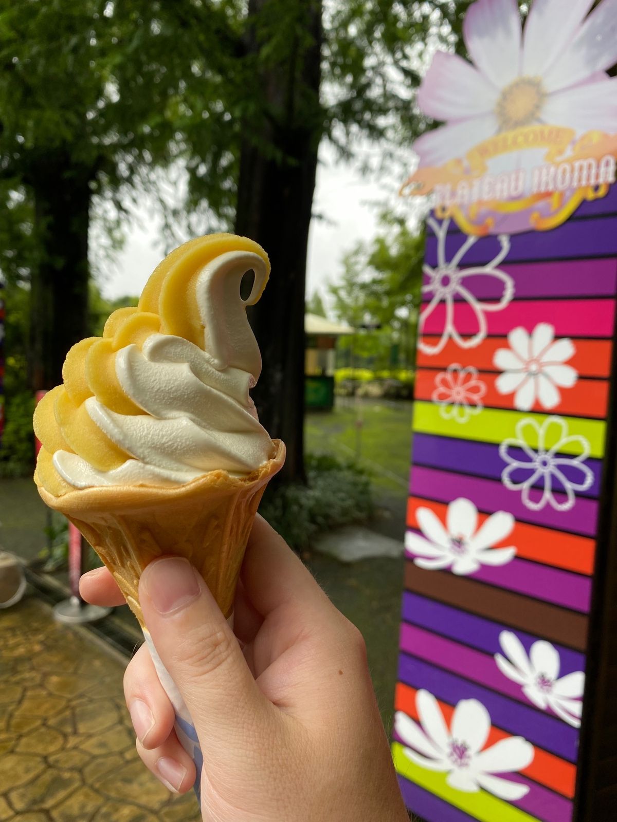 生駒高原！
で食べたマンゴーソフト！