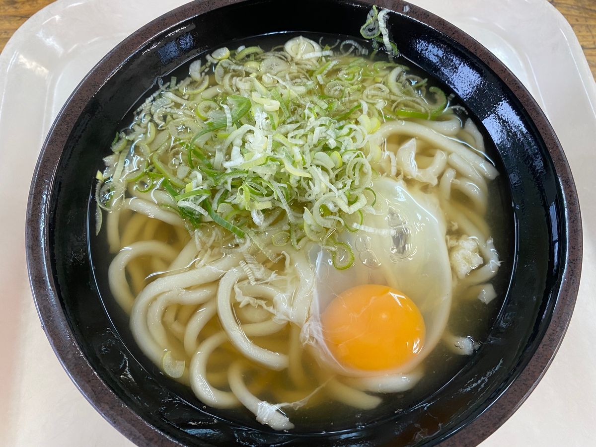 宮崎のうどん！ビール！プリン！