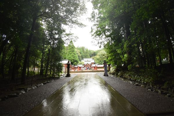 日本・鹿児島県「宮崎１人旅！ちょい鹿児島！」の写真：霧島神宮！