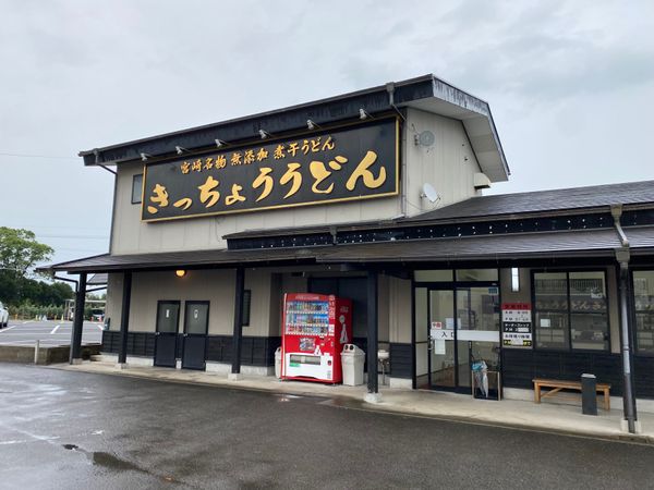 日本・鹿児島県「宮崎１人旅！ちょい鹿児島！」の写真：宮崎のうどん！ビール！プリン！