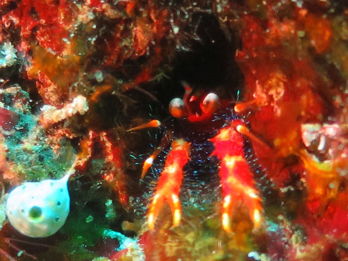 1)ここから出港しました。
  よく写真見る川平湾の近くです。
2)イエロ...