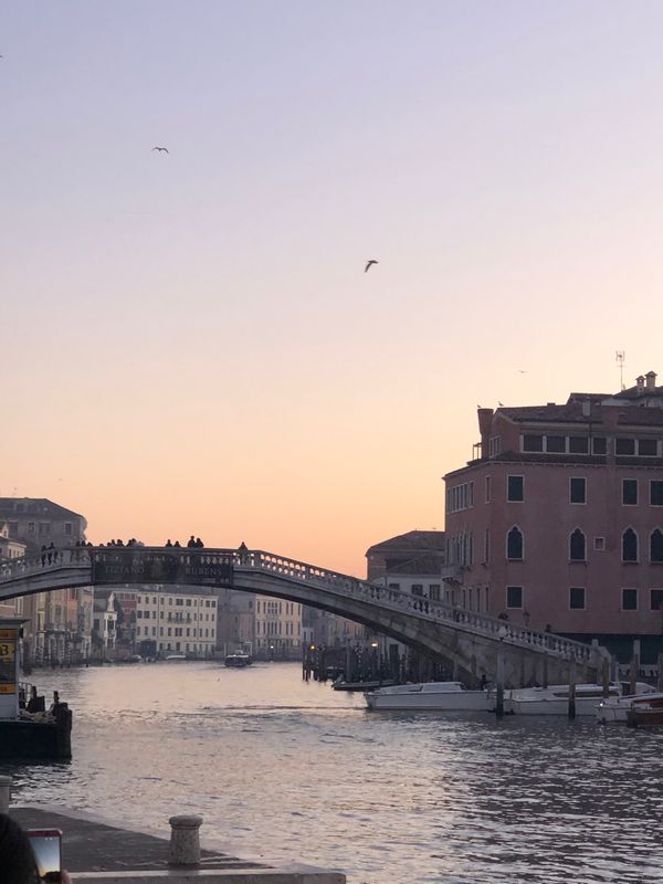 イタリア・ローマ「イタリア旅行」の写真