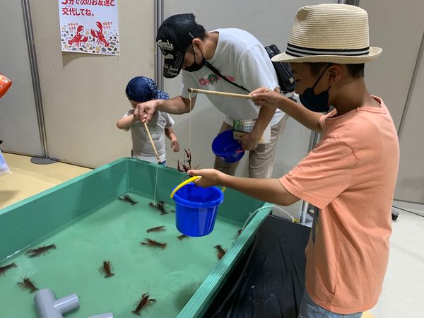 日本・秋田県「秋田県横手市」の写真