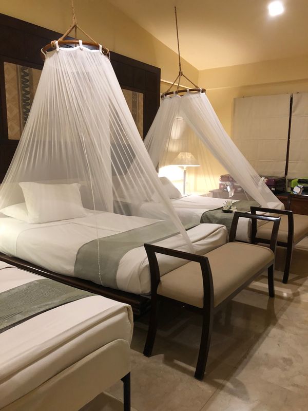 フィリピン・セブ島「セブ島旅行」の写真