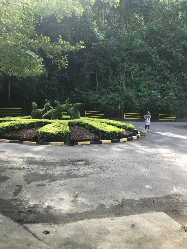 インドネシア・バリ「バリ姉妹旅行」の写真：オラウータンには会えなかったけど楽しかった