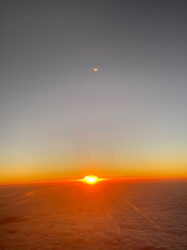 日本・沖縄県「okinawa」の写真