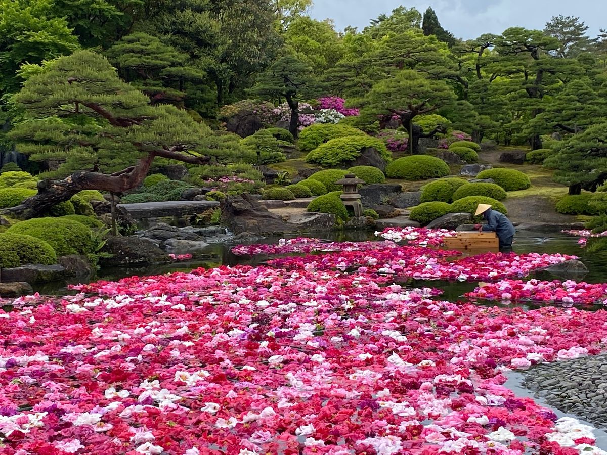 来ちゃった島根県