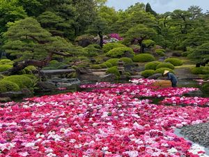来ちゃった島根県
