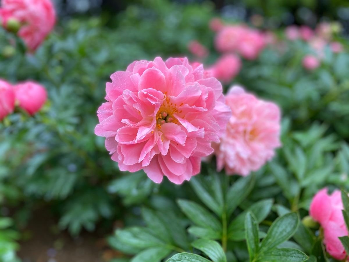 出雲
やっぱ遠いわぁ〜
マルコ🚗がんばりました