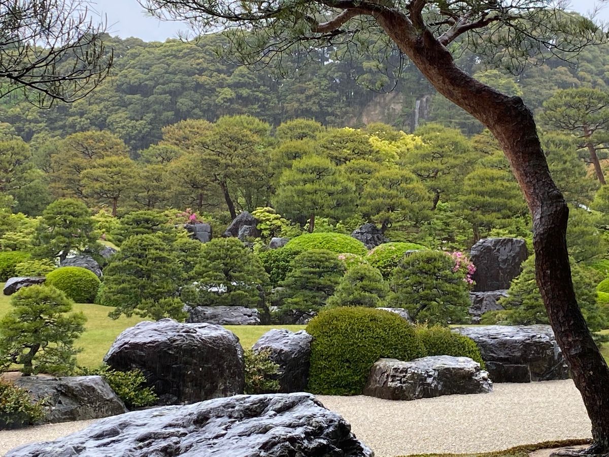 来ちゃった島根県
