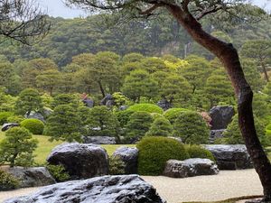 来ちゃった島根県