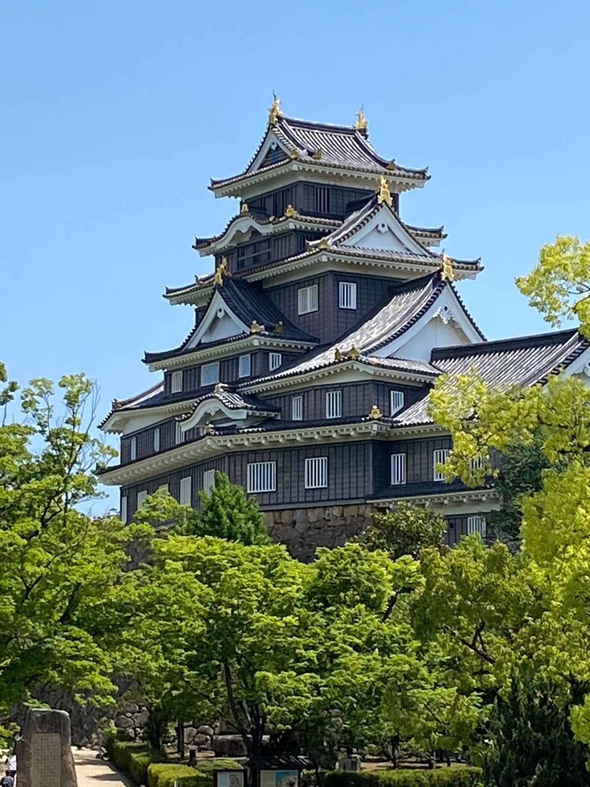 たくさん歩いたね