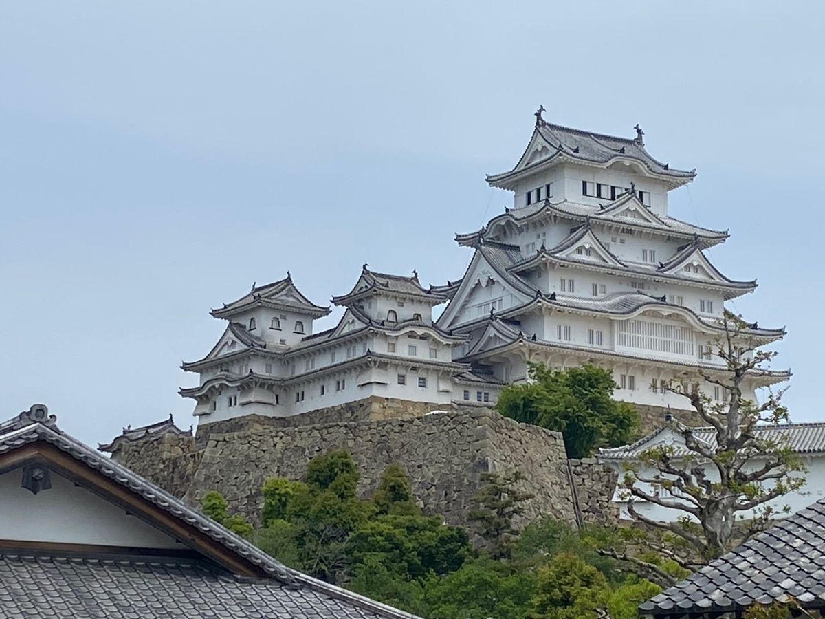 うどんも姫路城も美味綺麗