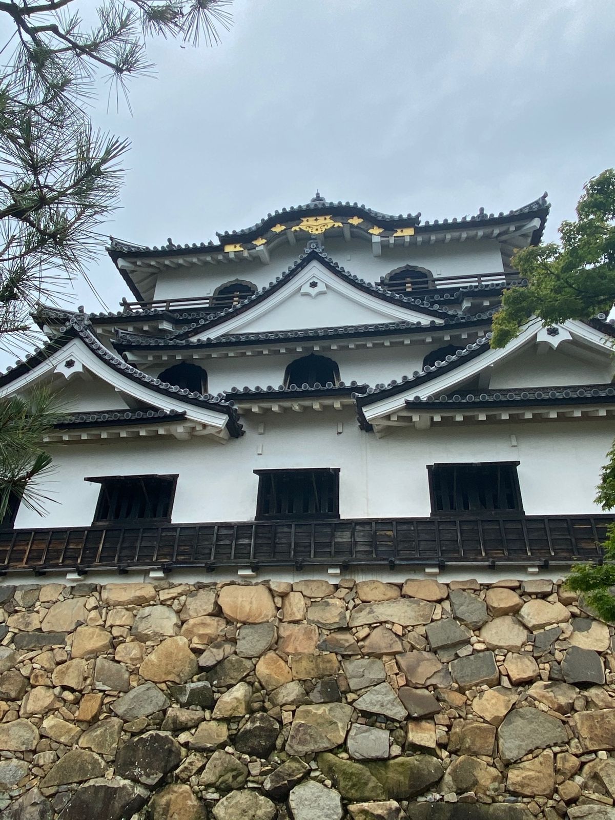 ひこにゃんには会えなかったけど😥
近江牛うま