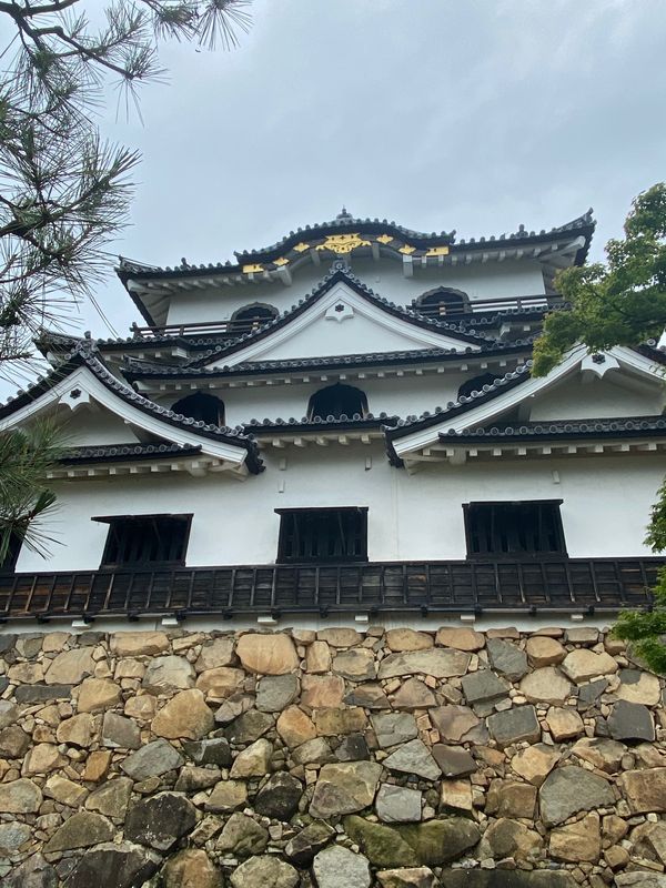 日本・滋賀県「金沢からの帰り道」の写真：ひこにゃんには会えなかったけど😥
近江牛うま