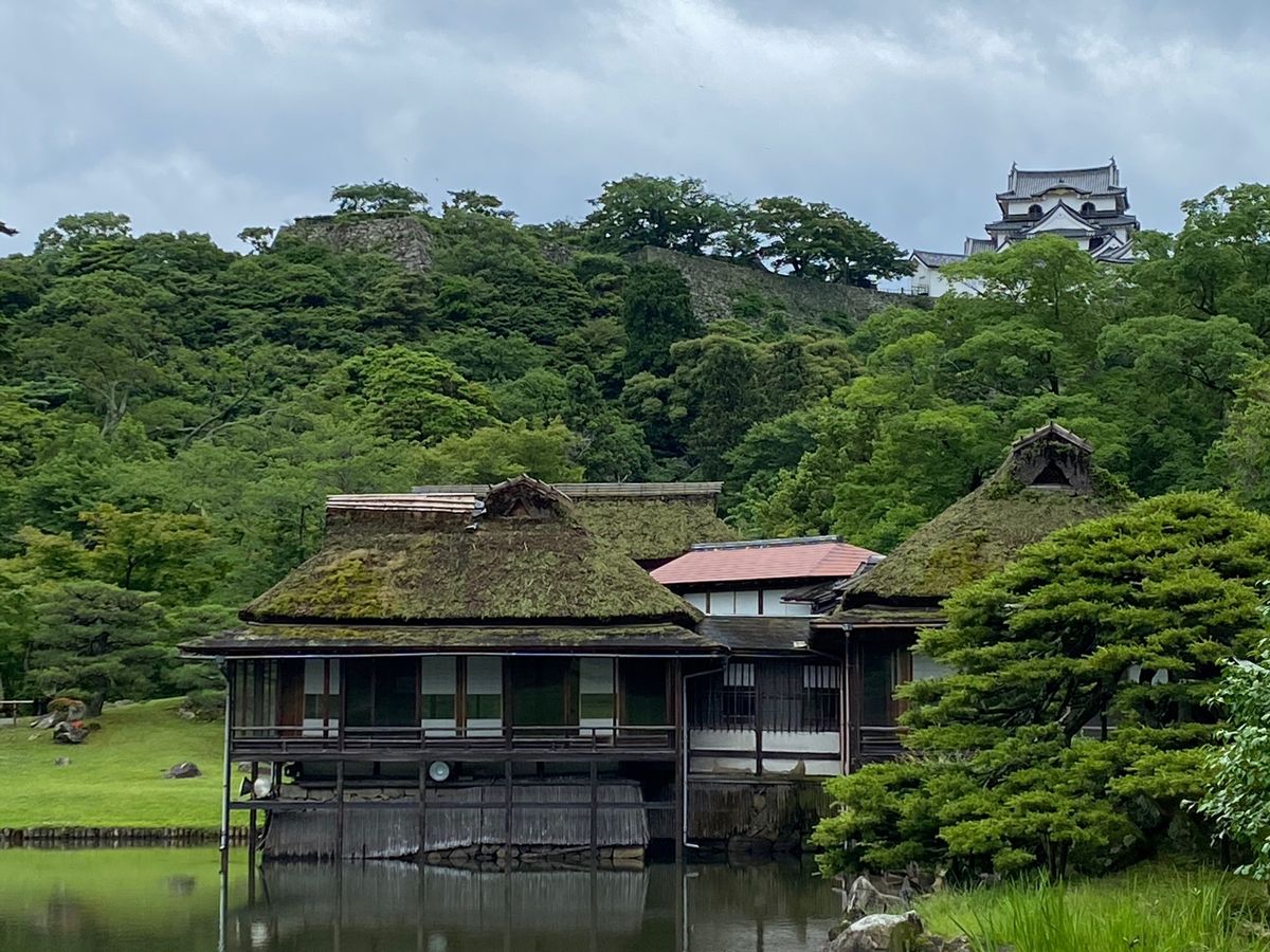 ひこにゃんには会えなかったけど😥
近江牛うま