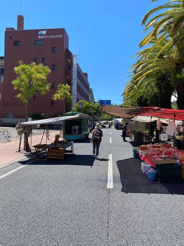日本・高知県「マルコ旅　龍馬ぜよ」の写真：お天気が良くてサイコーでした❣️