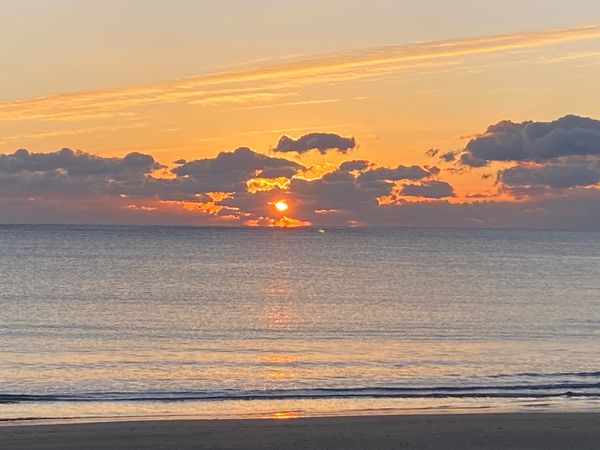日本・愛知県「国府の浜からの英虞湾　海に入れず」の写真：帰りに恒例の豊川稲荷。お船を買っておみく...