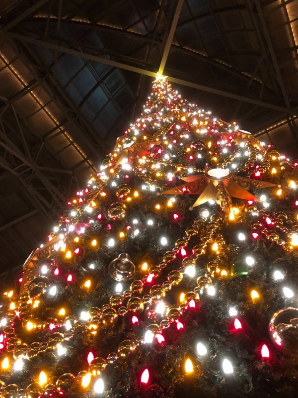 日本・千葉県「千葉旅行（東京ディズニーリゾート）」の写真