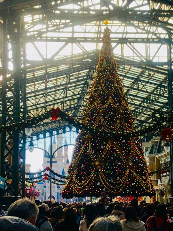 日本・千葉県「千葉旅行（東京ディズニーリゾート）」の写真