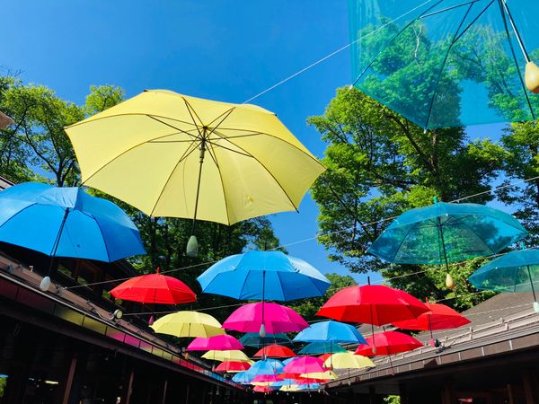 日本・長野県「軽井沢 小旅行」の写真