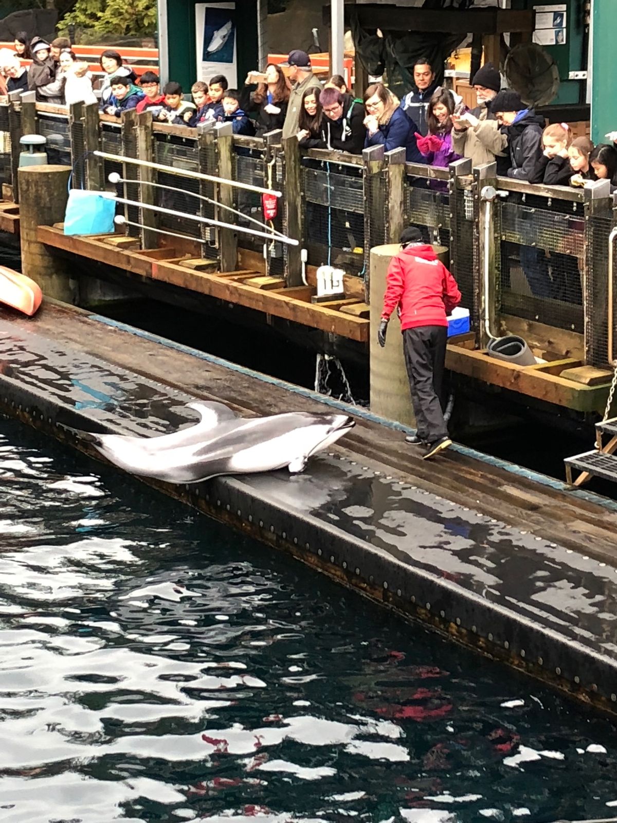 スタンレーパークなど通訳なしで観光まわりました