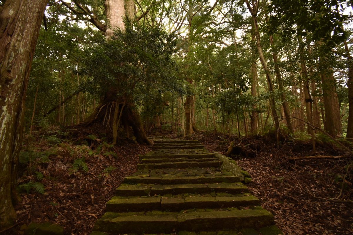 熊野古道！