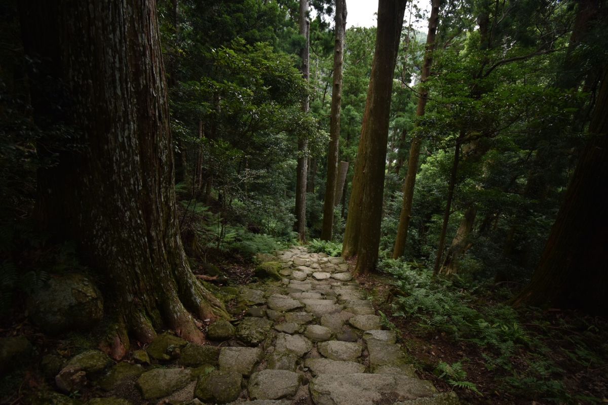 那智の滝！