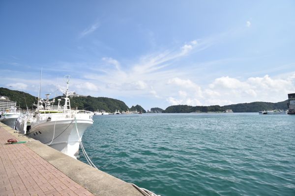 日本・静岡県「熊野古道！ちょっと寄り道！」の写真：紀伊勝浦！の海と街！