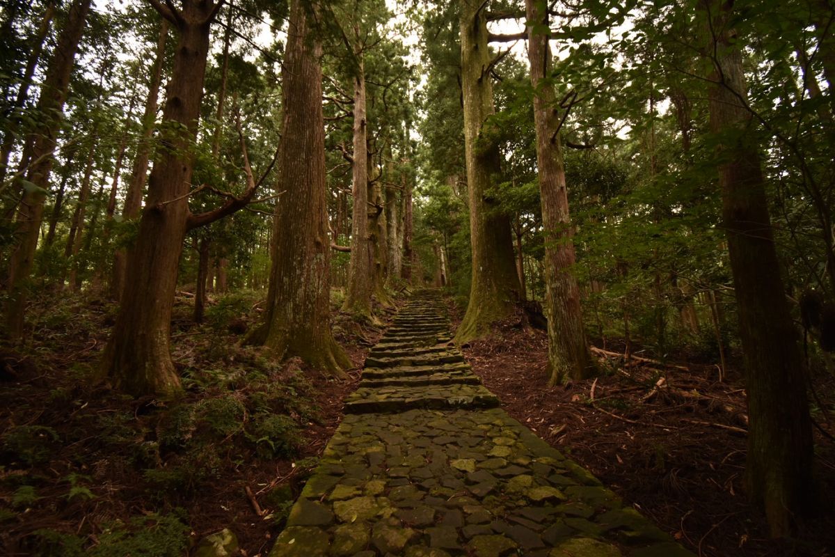 熊野古道！