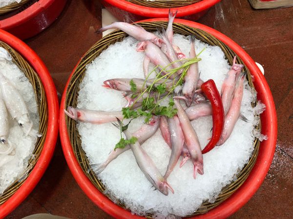 中国・広州「広州」の写真