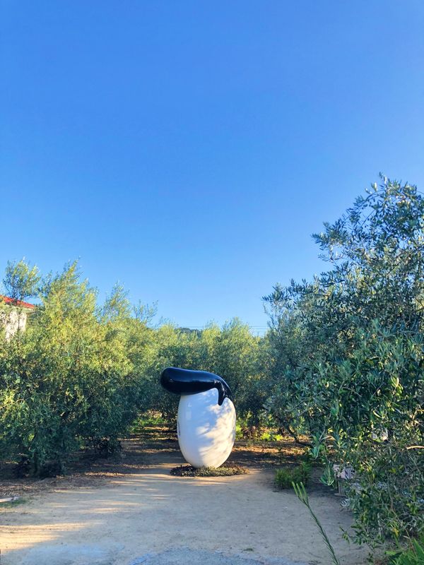 日本・香川県「小豆島」の写真