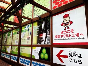 世界のヤクルト色々違ってて面白かった！
最後はお土産にヤクルトいただいたよ🙌