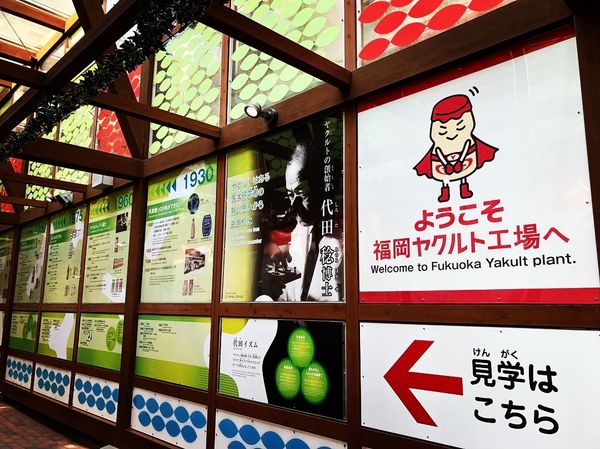 日本・福岡県「福岡の工場見学」の写真：世界のヤクルト色々違ってて面白かった！
...