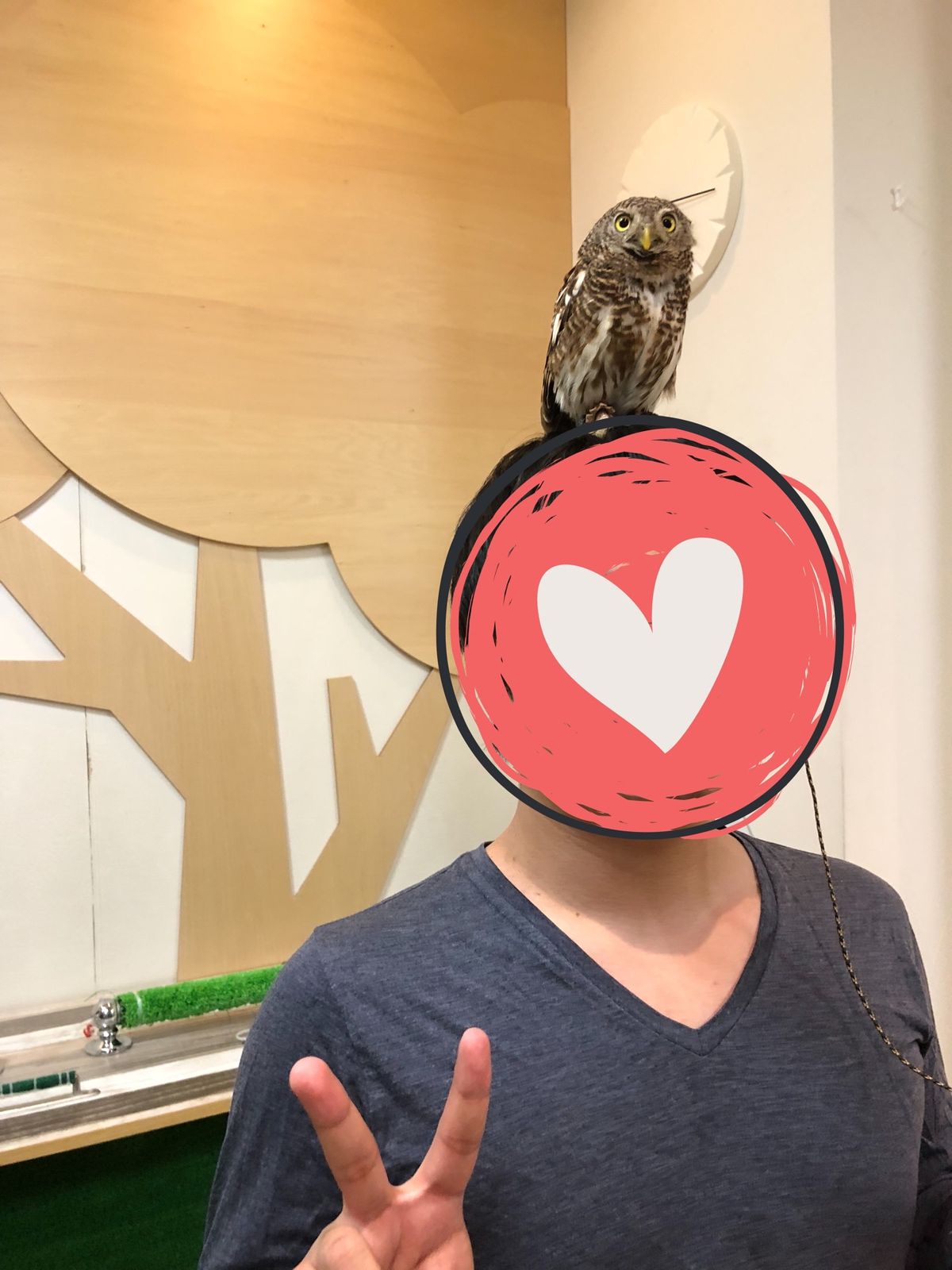 見ず知らずの人ですが
頭に乗ってる姿が可愛すぎて
撮らせてもらいました
イ...