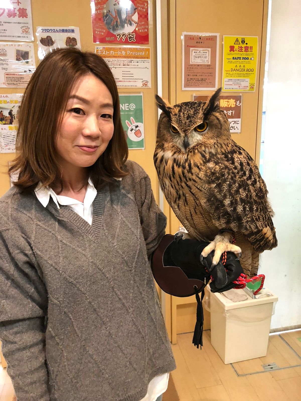 ユーラシアワシミミズクのゆうちゃん
大型の子はデッカイ😳