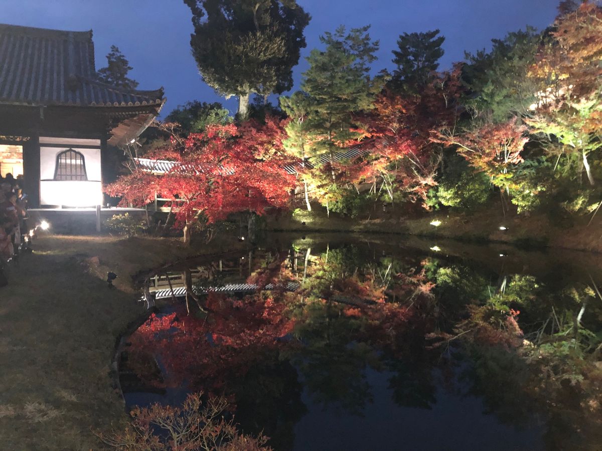 紅葉の季節
ナイトツアーもあり、京都の紅葉満喫❣️
さ、帰るぞー🚅
