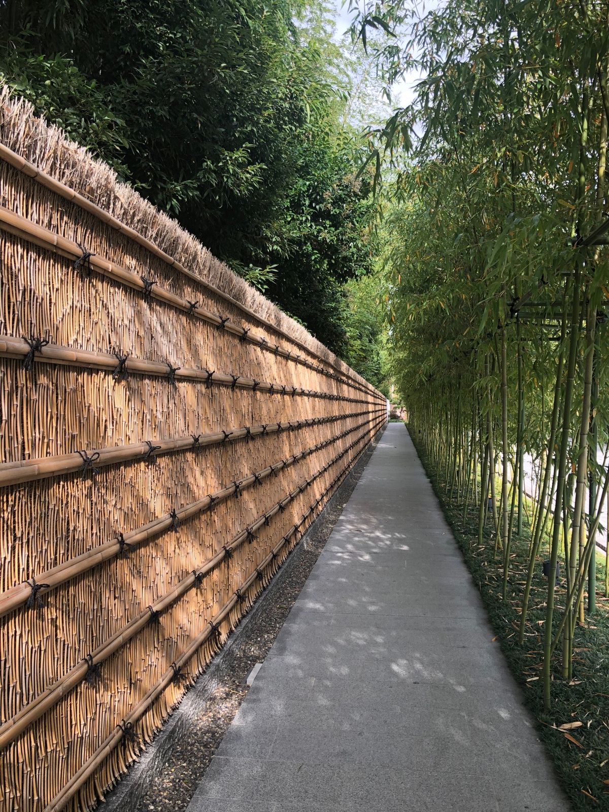 フォーシーズンズホテル京都でランチしました♪