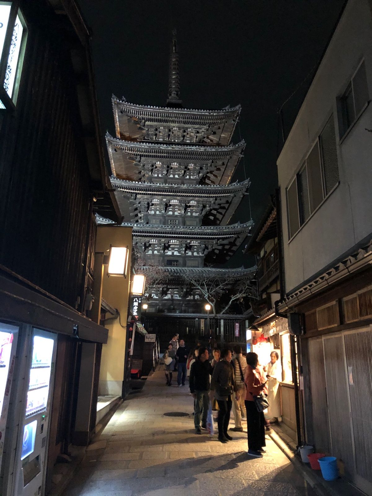 紅葉の季節
ナイトツアーもあり、京都の紅葉満喫❣️
さ、帰るぞー🚅