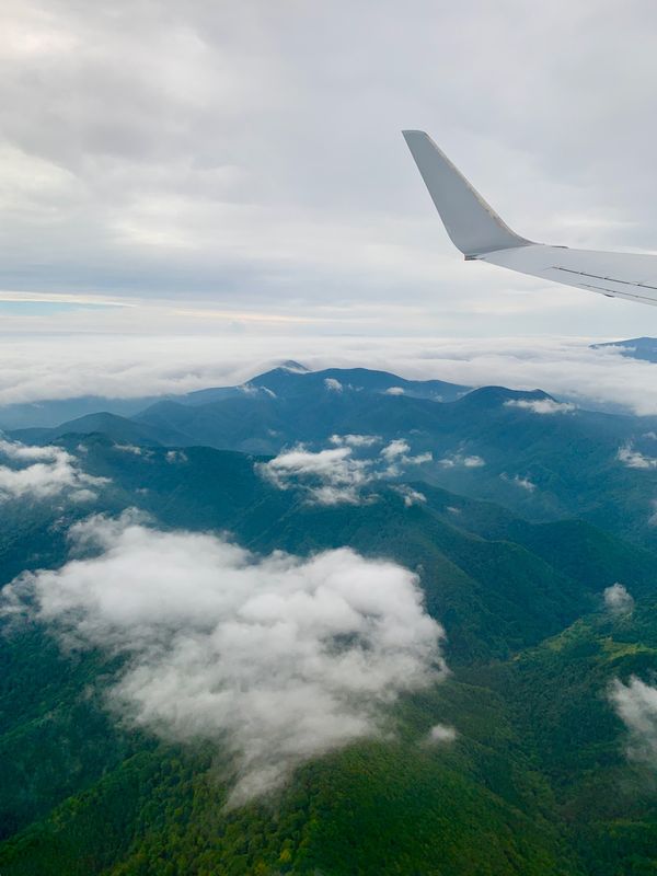 日本・青森県「森 + 温泉 + ハイキング」の写真：白神山地