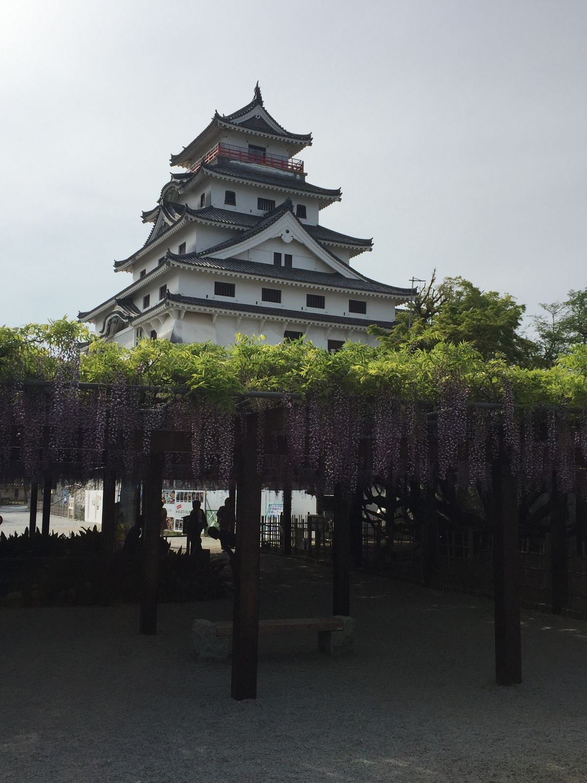 行くなら佐賀市内より唐津かな。