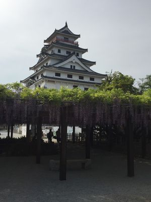 行くなら佐賀市内より唐津かな。
